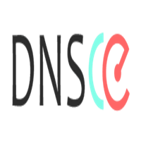 DNSCE DNS查询工具